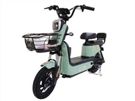 Vélo électrique cool à usage familial