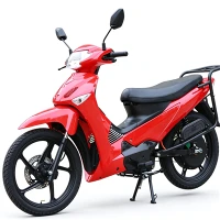 Ventes directes d'usine économiques de moto électrique à faisceau incurvé